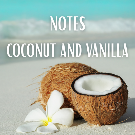 Coconut Breeze : Air Freshener